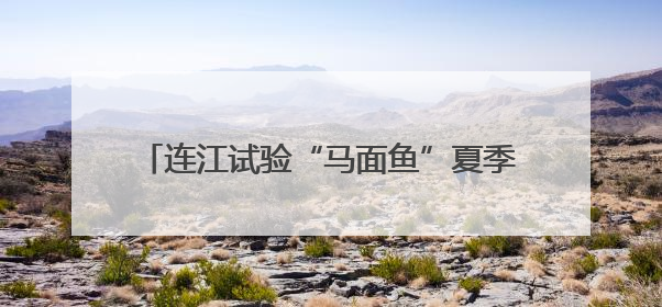 连江试验“马面鱼”夏季高温混养 为福建首次