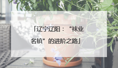 辽宁辽阳：“袜业名镇”的进阶之路