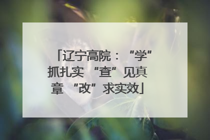 辽宁高院：“学”抓扎实 “查”见真章 “改”求实效