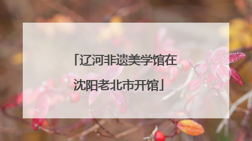 辽河非遗美学馆在沈阳老北市开馆