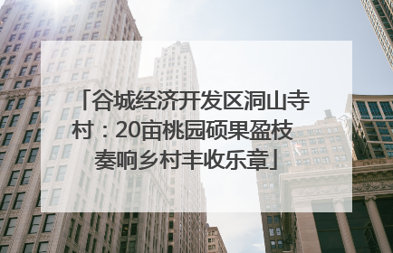 谷城经济开发区洞山寺村：20亩桃园硕果盈枝 奏响乡村丰收乐章