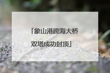 象山港跨海大桥双塔成功封顶
