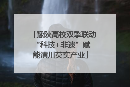 豫陕高校双擎联动 “科技+非遗”赋能潢川芡实产业