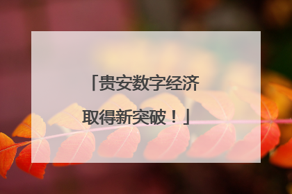 贵安数字经济取得新突破！