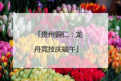 贵州铜仁：龙舟竞技庆端午