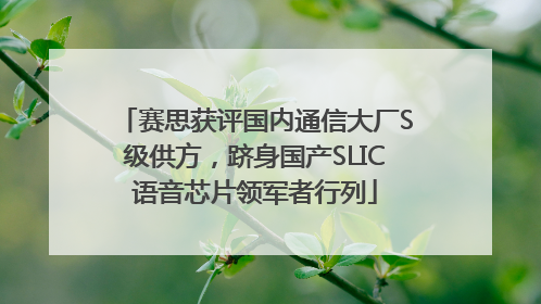 赛思获评国内通信大厂S级供方，跻身国产SLIC语音芯片领军者行列