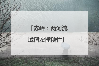 赤峰：两河流域稻农插秧忙