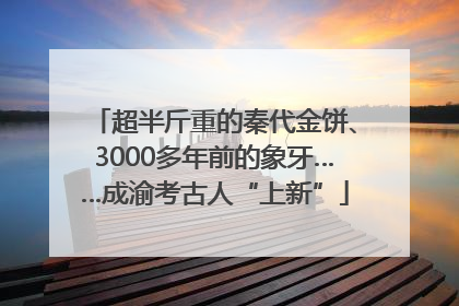 超半斤重的秦代金饼、3000多年前的象牙……成渝考古人“上新”