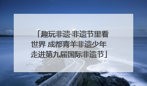 趣玩非遗·非遗节里看世界 成都青羊非遗少年走进第九届国际非遗节