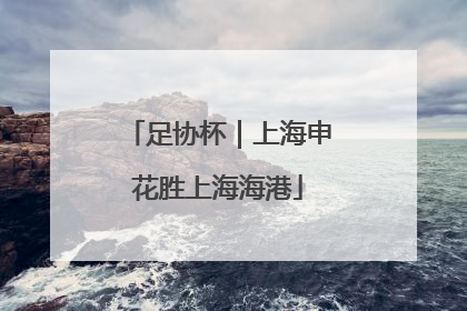 足协杯｜上海申花胜上海海港