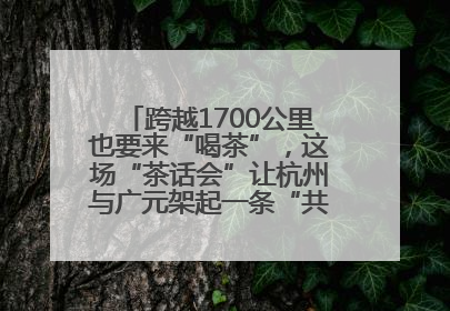 跨越1700公里也要来“喝茶”，这场“茶话会”让杭州与广元架起一条“共富之路”