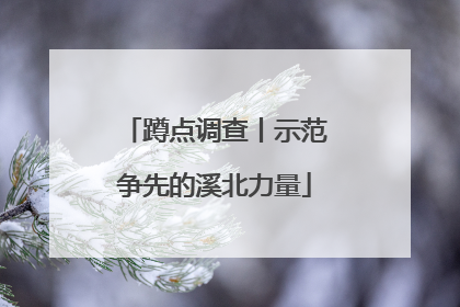 蹲点调查丨示范争先的溪北力量