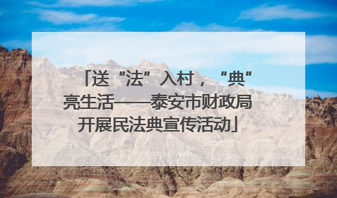 送“法”入村，“典”亮生活——泰安市财政局开展民法典宣传活动