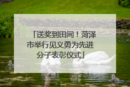 送奖到田间！菏泽市举行见义勇为先进分子表彰仪式