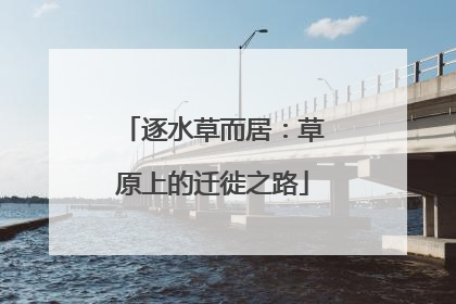 逐水草而居：草原上的迁徙之路