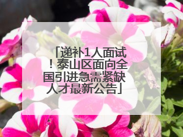 递补1人面试！泰山区面向全国引进急需紧缺人才最新公告
