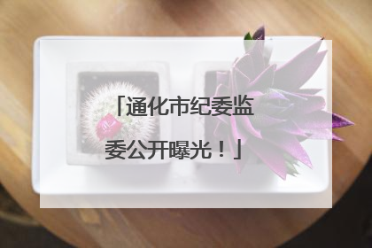 通化市纪委监委公开曝光！
