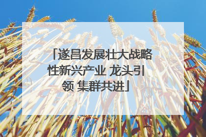 遂昌发展壮大战略性新兴产业 龙头引领 集群共进