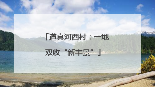 道真河西村：一地双收“新丰景”