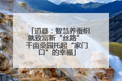 道县：智慧养蚕织就致富新“丝路” 千亩桑园托起“家门口”的幸福
