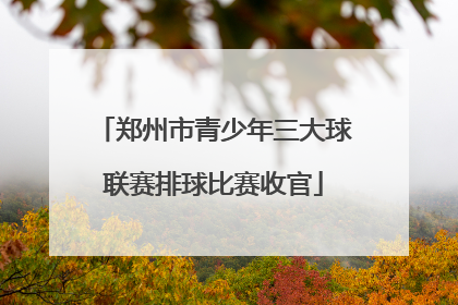 郑州市青少年三大球联赛排球比赛收官