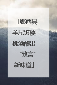 郧西县羊尾镇樱桃酒酿出“致富”新味道
