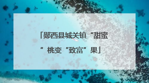 郧西县城关镇“甜蜜”桃变“致富”果