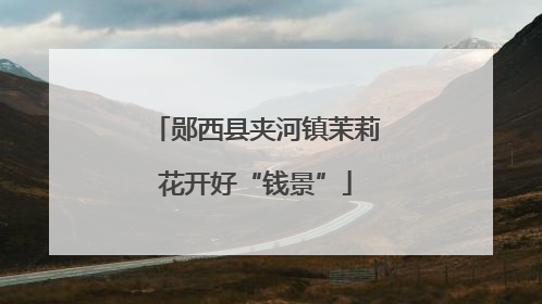 郧西县夹河镇茉莉花开好“钱景”