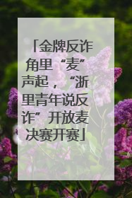 金牌反诈角里“麦”声起，“浙里青年说反诈”开放麦决赛开赛