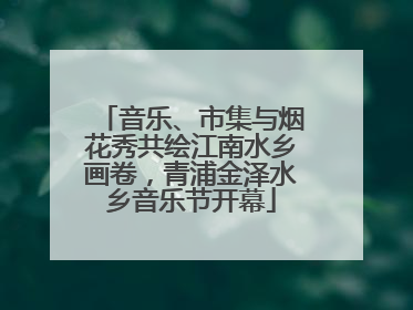 音乐、市集与烟花秀共绘江南水乡画卷，青浦金泽水乡音乐节开幕