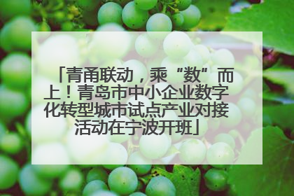 青甬联动，乘“数”而上！青岛市中小企业数字化转型城市试点产业对接活动在宁波开班