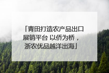 青田打造农产品出口展销平台 以侨为桥，浙农优品越洋出海