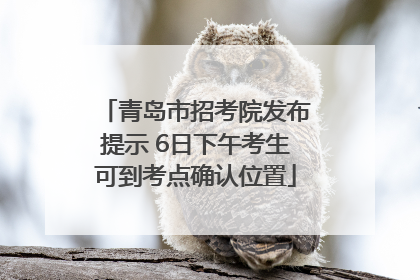 青岛市招考院发布提示 6日下午考生可到考点确认位置