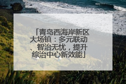 青岛西海岸新区大场镇：多元联动、智治无忧，提升综治中心新效能