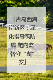 青岛西海岸新区：深化指导筑防线 靶向监督守“薪”安