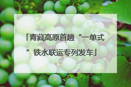 青藏高原首趟“一单式”铁水联运专列发车