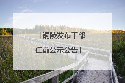 铜陵发布干部任前公示公告