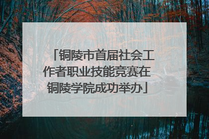 铜陵市首届社会工作者职业技能竞赛在铜陵学院成功举办