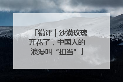 锐评｜沙漠玫瑰开花了，中国人的浪漫叫“担当”