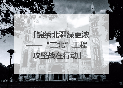 锦绣北疆绿更浓——“三北”工程攻坚战在行动