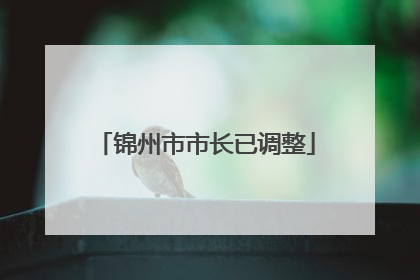 锦州市市长已调整
