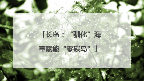 长岛：“驯化”海草赋能“零碳岛”