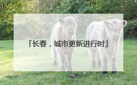 长春，城市更新进行时