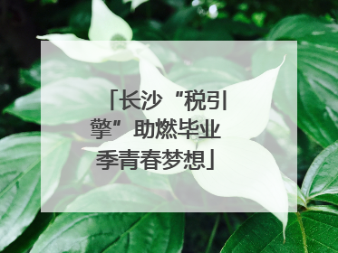 长沙“税引擎”助燃毕业季青春梦想