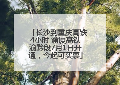 长沙到重庆高铁4小时 渝厦高铁渝黔段7月1日开通，今起可买票