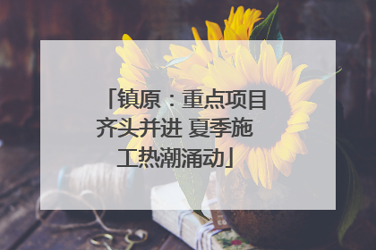 镇原：重点项目齐头并进 夏季施工热潮涌动
