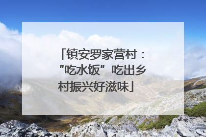 镇安罗家营村：“吃水饭”吃出乡村振兴好滋味