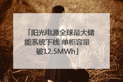 阳光电源全球最大储能系统下线 单柜容量破12.5MWh