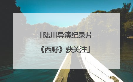 陆川导演纪录片《西野》获关注