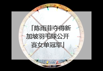 陈雨菲夺得新加坡羽毛球公开赛女单冠军